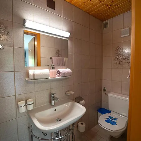 Gaestehaus Hoeck Apartment Tschagguns